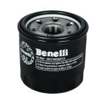 فیلتر روغن بنلی 250